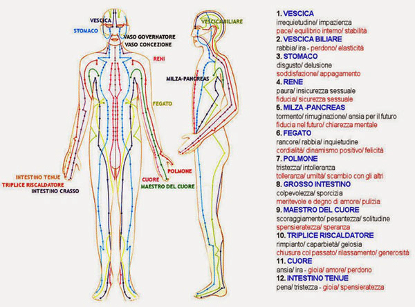 meridiani bioenergetici