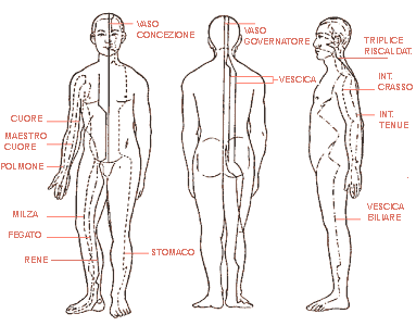 meridiani bioenergetici